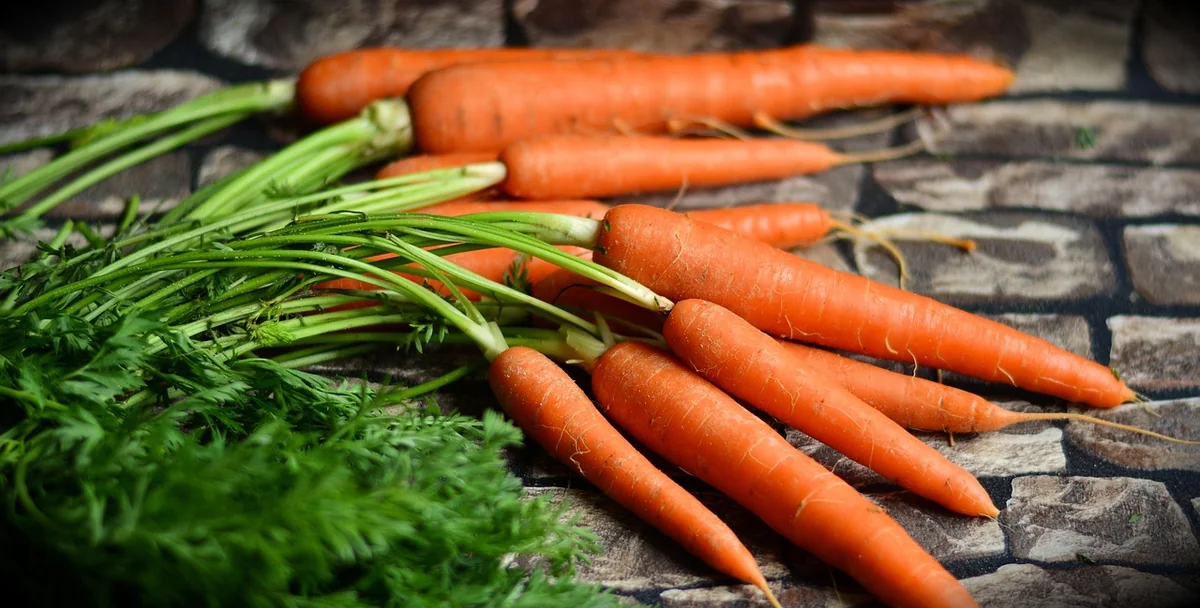 Coût et nutrition : ce que les tableaux de recettes oublient de dire