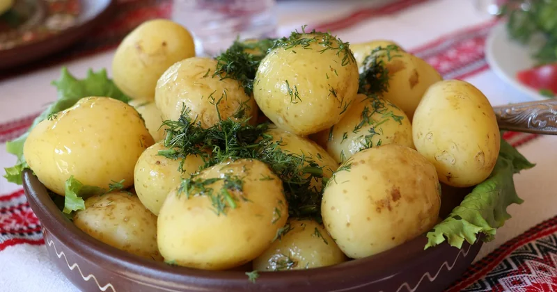Faut-il des pommes de terre ? La réponse honnête